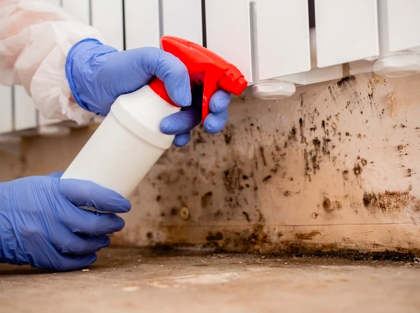 what is involved with mold remediation?