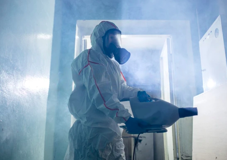 Commercial Mold Removal